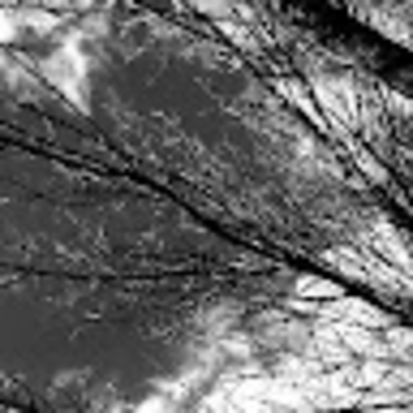 yurrita8